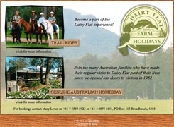 Dairy Flat Farm Holidays - website design and hosting by Broadnet on the Gold Coast
